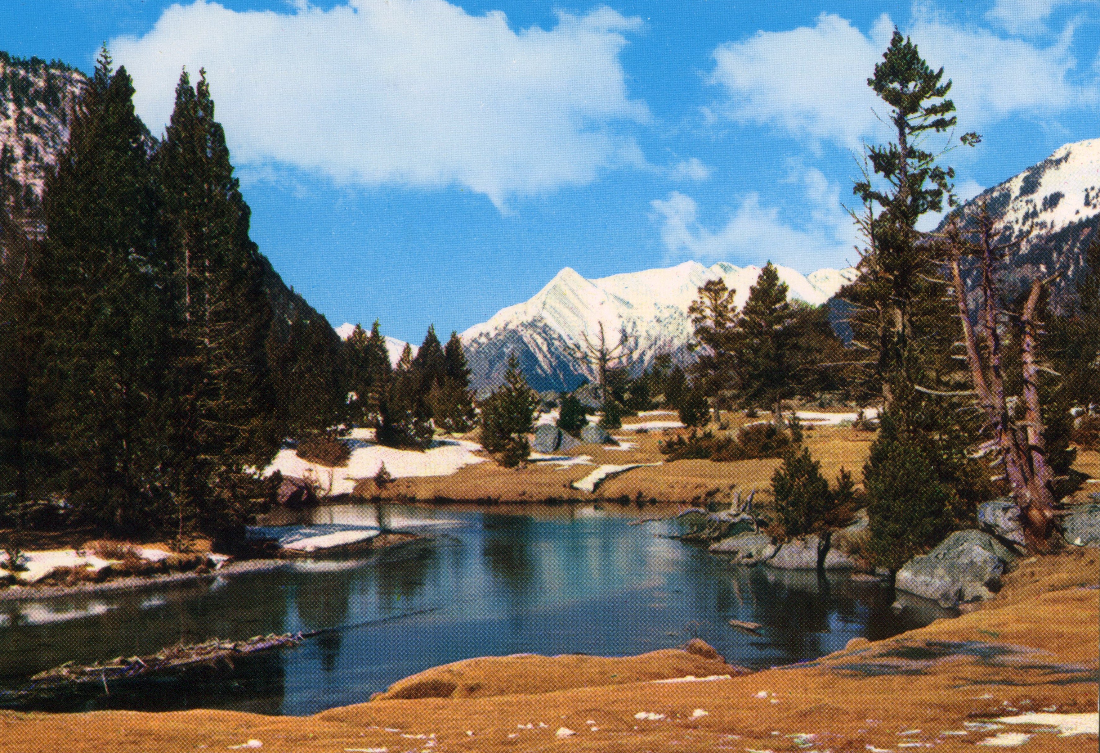YourParks initiative