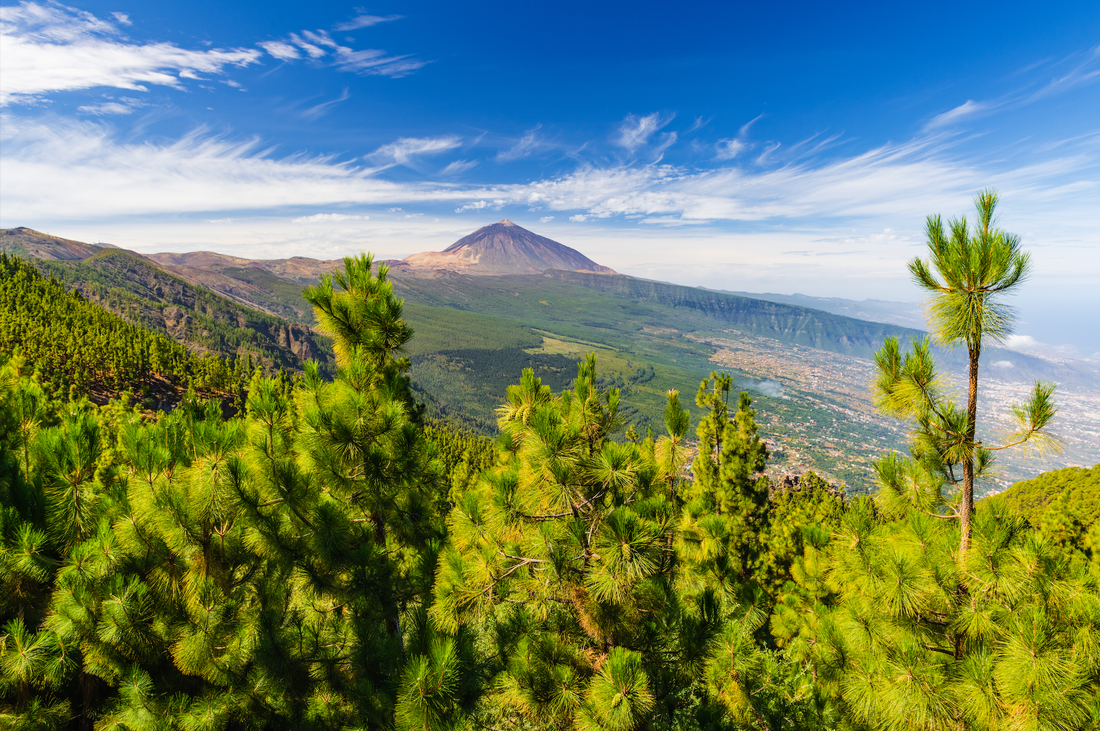 Teide