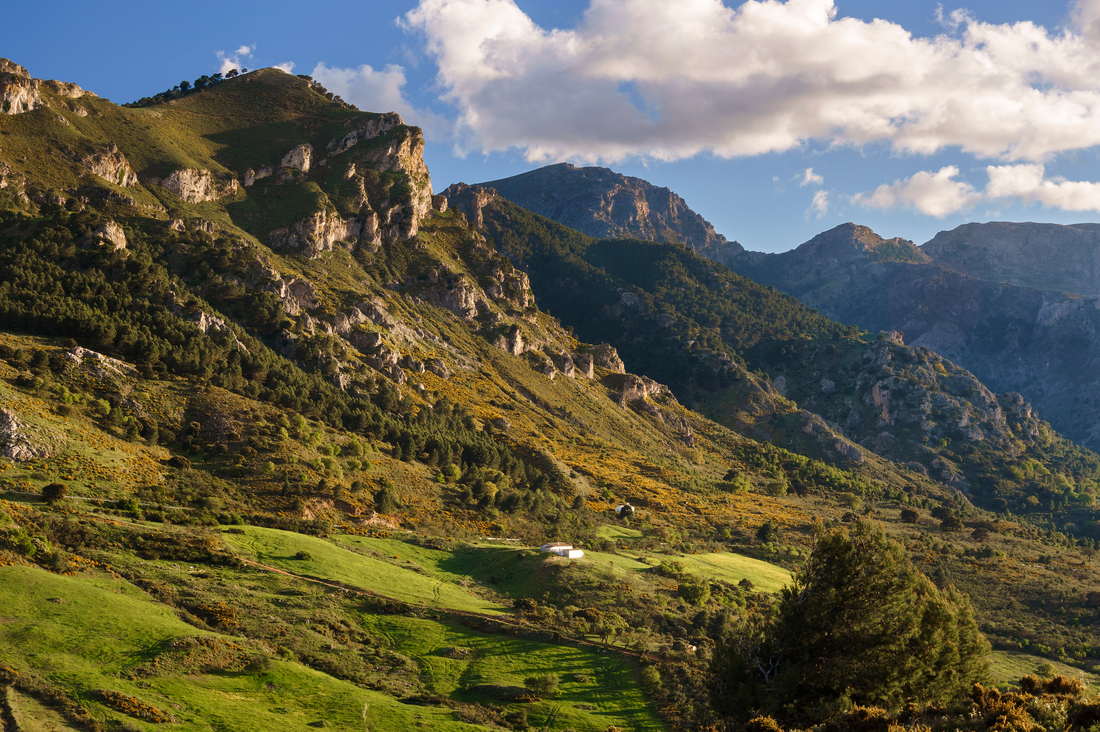 Sierra de Las Nieves