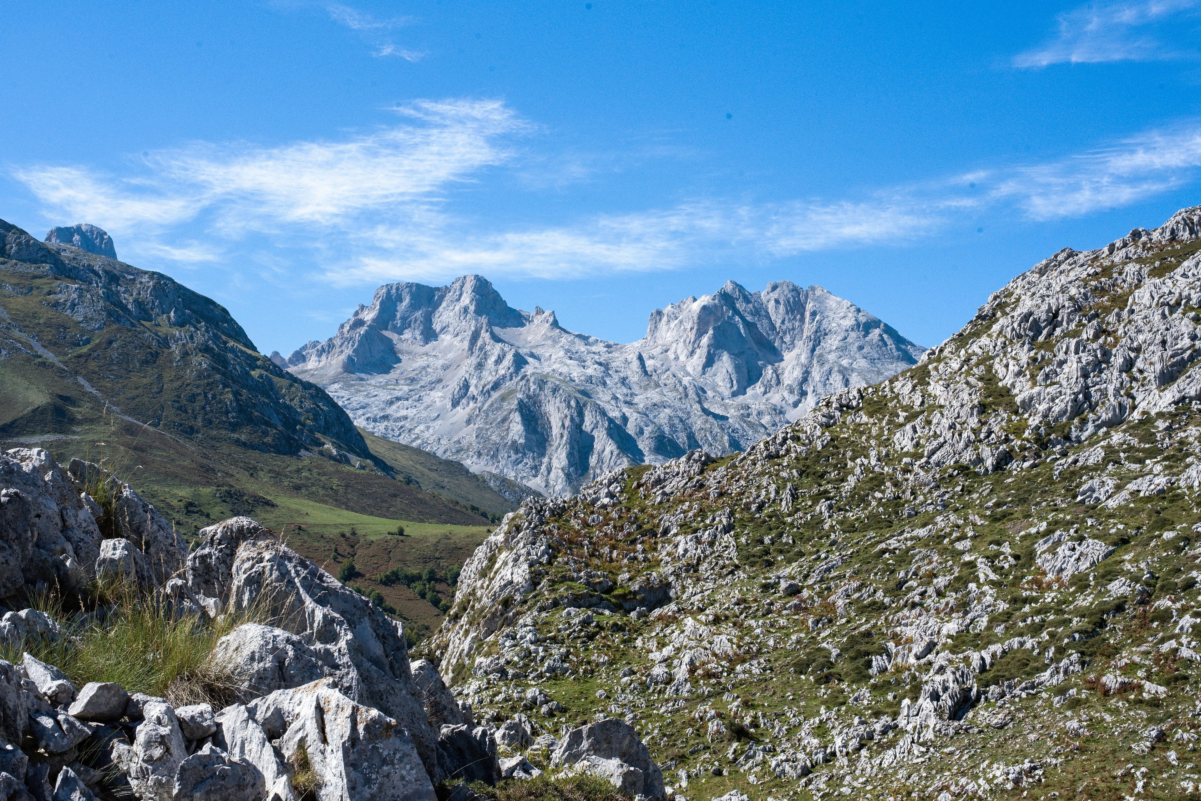 Picos de Europa