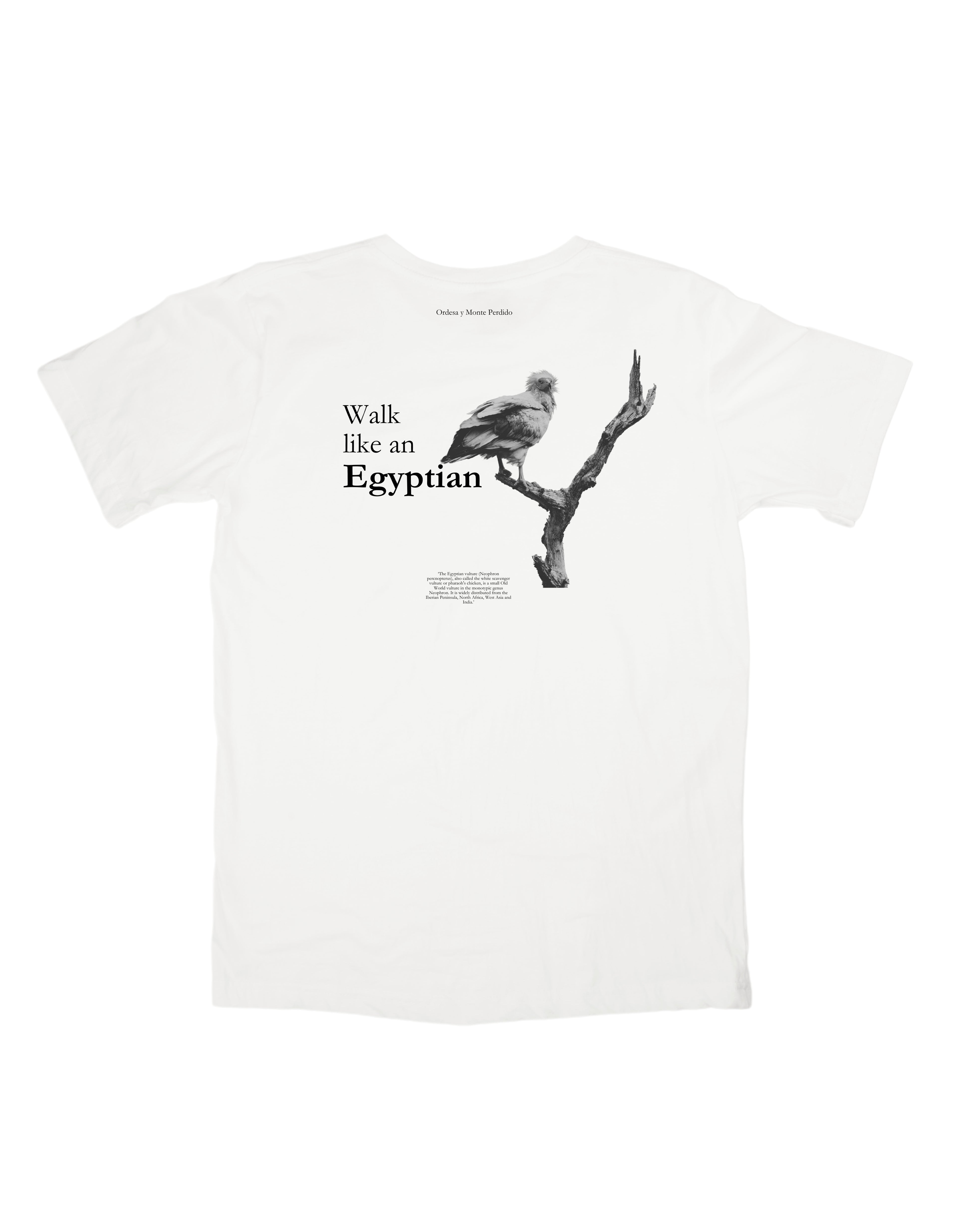 T-shirt - Egyptian Vulture