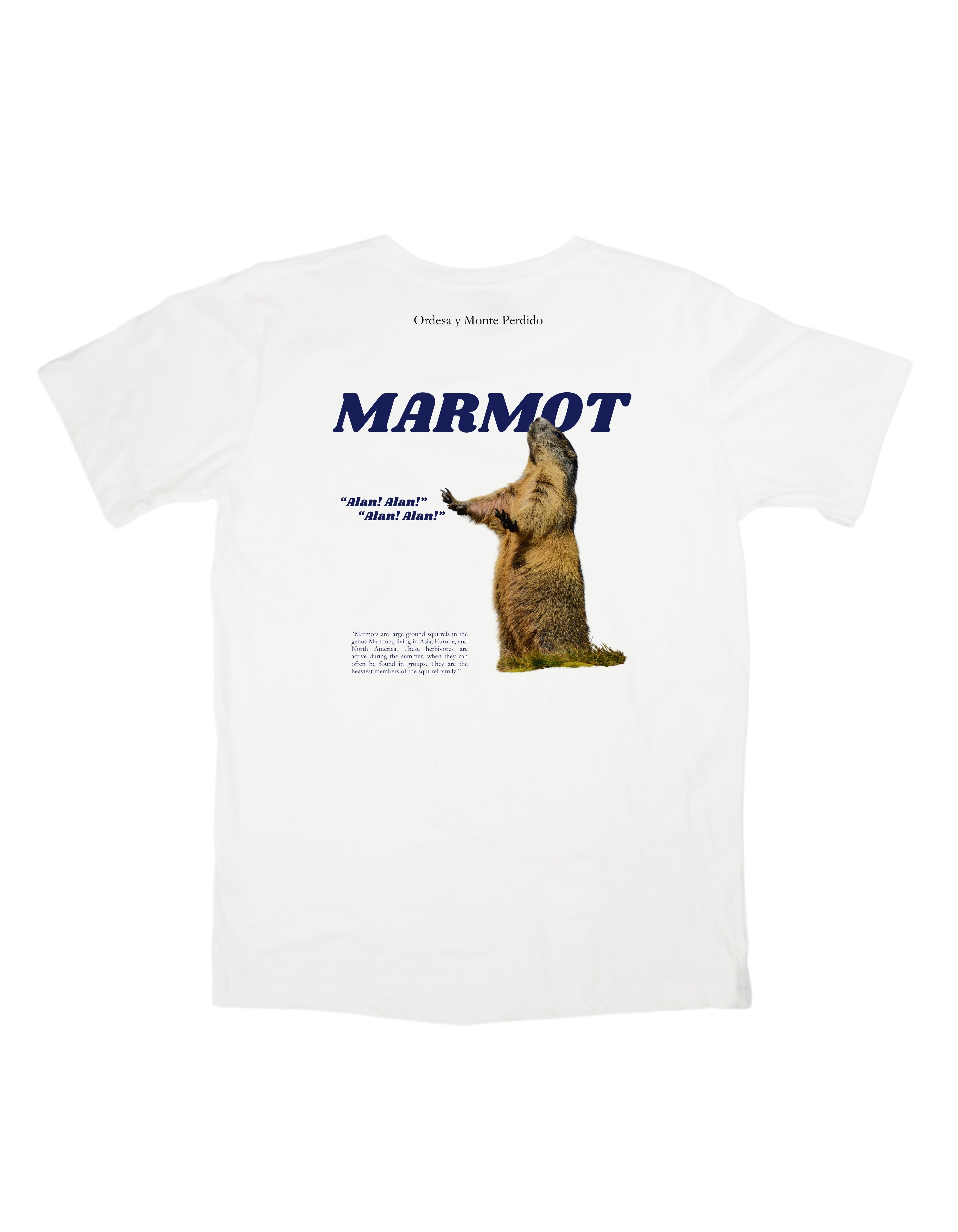T-shirt - Marmot